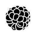 delicious blackberry glyph icon vector illustration