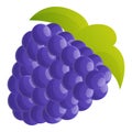 Delicious blackberry icon, cartoon style