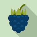 Delicious blackberry icon, flat style