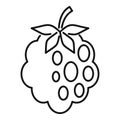 Delicious blackberry icon, outline style