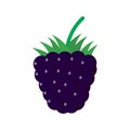 Delicious blackberry icon