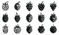 Delicious blackberry icons set, simple style