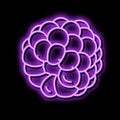 delicious blackberry neon glow icon illustration
