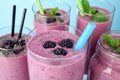 Delicious blackberry smoothie in different glassware on light blue background