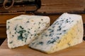 Delicious blue puff cheese on a wooden board. Tasty pleasing cheese prepared for a meal