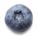 Delicious blueberry