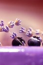 Delicious blueberry cake with fresh berries, beads, lavender flower branches.