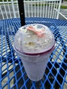 Delicious blueberry malt milkshake frozen desert Royalty Free Stock Photo