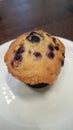 Delicious Blueberry muffin