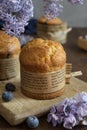 Delicious blueberry muffins decorated with baking parchment surrounded by lilac flowers Royalty Free Stock Photo