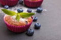 Delicious blueberry muffins powdered with icing sugar Royalty Free Stock Photo