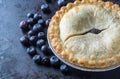 Delicious blueberry pie with summer fruits