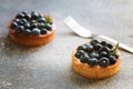 Delicious blueberry tartlets with vanilla custard cream with a fork on gray background. Front view. Royalty Free Stock Photo