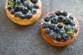 Delicious blueberry tartlets with vanilla custard cream on gray background. Top view. Royalty Free Stock Photo