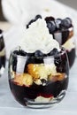 Delicious Blueberry Trifle Royalty Free Stock Photo