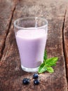 Delicious blueberry yoghurt smoothie Royalty Free Stock Photo