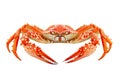 delicious boiled king crab on a white background, PNG file.