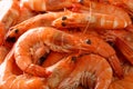 Delicious boiled large shrimp closeup background Royalty Free Stock Photo