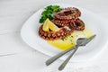 Boiled octopus with lemon ,parsley and salad dressing on white plate. Traditional mediterranean seafood
