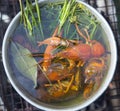 Delicious boiled red Crayfish in water and dill on the fire Royalty Free Stock Photo