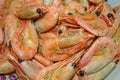 Delicious boiled shrimp. Royalty Free Stock Photo