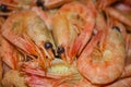 Delicious boiled shrimp. Royalty Free Stock Photo