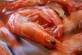 Delicious Boiled Shrimps closeup Royalty Free Stock Photo