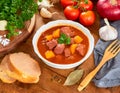 A delicious bowl of traditional Hungarian goulash, rich and hearty, garnished with fresh parsley Royalty Free Stock Photo