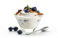 Delicious bowl of yogurt topped with fresh blueberries and crunchy granola. Perfect for healthy