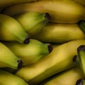 The delicious Brazilian banana