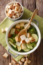 Delicious bread soup with zucchini and greens close-up in a bowl Royalty Free Stock Photo