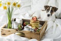 Breakfast in bed: cottage cheese pancakes, coffee and strawberries