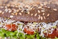 A healthy meal of whole wheat dark brown rye bread, curd cream cheese, radish, alfalfa sprouts, ham, tomatoes, green salad Royalty Free Stock Photo