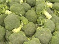 Delicious Broccoli for healthy