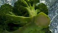 Delicious broccoli splash water in light background closeup. Healthy veggie head