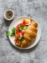 Delicious brunch, breakfast, snack - croissant sandwich with cream cheese, salmon and boiled egg on a light background, top view Royalty Free Stock Photo