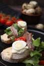 Delicious bruschettas with anchovies, cream cheese, arugula, eggs and tomatoes on table, closeup