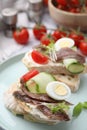 Delicious bruschettas with anchovies, tomato, cucumber, egg and cream cheese on plate, closeup