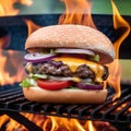 Delicious burger on fire grill