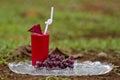 A delicious burgundy cocktail in a tropical garden