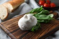 Delicious burrata cheese with basil on light grey tablecloth, closeup