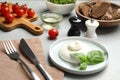 Delicious burrata cheese with basil served on light grey table