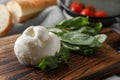Delicious burrata cheese with basil on wooden board, closeup. Space for text