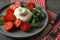 Delicious burrata cheese with tomatoes and arugula served on grey wooden table, closeup