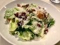 Delicious Caesar Salad Plate