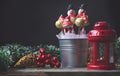 Cake pops decorated for christmas, on dark background Royalty Free Stock Photo