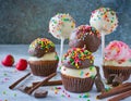 delicious cake pops decorated with frosting chocolate and sprinkles Royalty Free Stock Photo