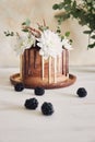 Delicious cake with white and brown chocolate swirly with flowers and blackberries on a table