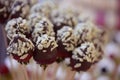 Delicious cakepops on candy bar