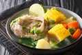 Delicious Caldo de res Mexican beef shank soup with vegetables close-up in a bowl on the table. horizontal